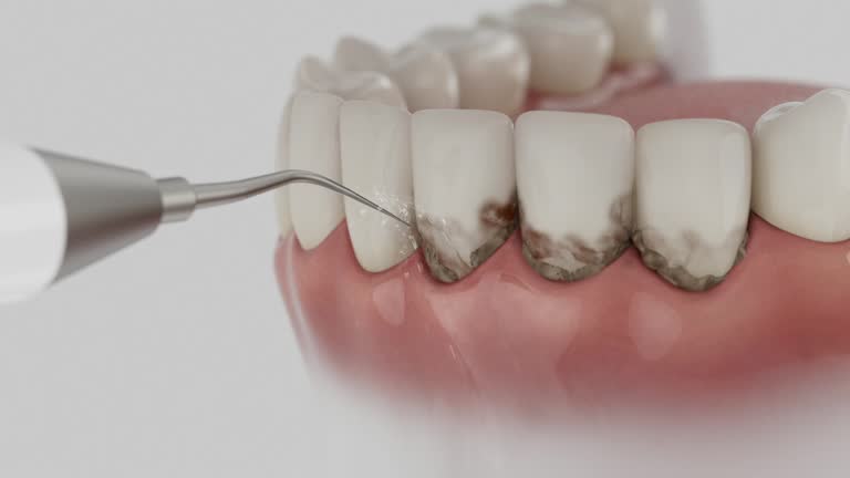 Reliable Dental contractor in Rossford, OH by Dentist Open Now